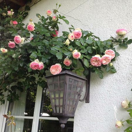 Le Petit Val Rose Villa Villennes-sur-Seine Eksteriør bilde