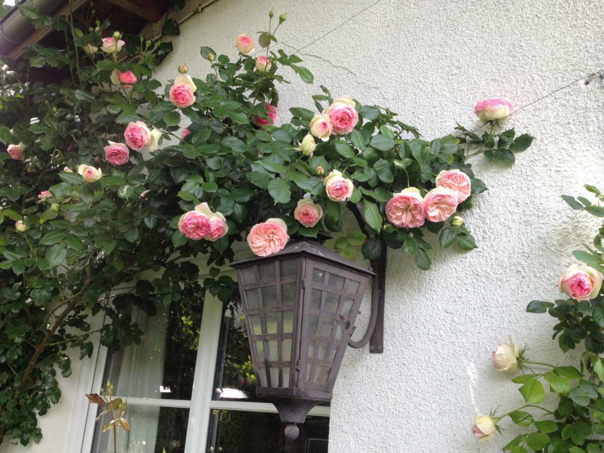 Le Petit Val Rose Villa Villennes-sur-Seine Eksteriør bilde